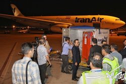 نقش‌برجسته قاچاق‌شده از انگلیس به ایران آمد