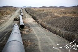 تمدید زمان ارائه ایده در چالش ساخت لوله‌های مغزی تا ۱۵ تیر