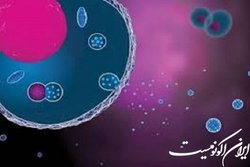 وزیکول‌های خارج سلولی و سلول‌های خواستگاه آنان: رویکردی نوین در درمان بیماری‌های خودایمنی