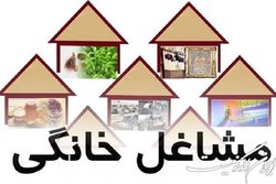 جزئیات نحوه دریافت مجوز و تسهیلات مشاغل خانگی
