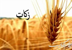 پرداخت ۵۷ میلیارد تومان زکات در بهار امسال