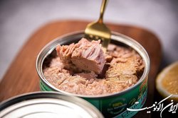 قیمت تمام شده کنسروماهی صادرات را صفر کرد