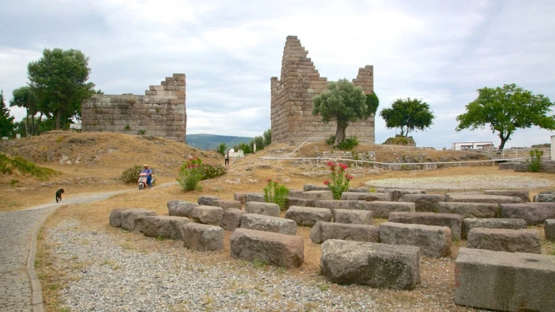 معرفی بهترین جاهای دیدنی بدروم معرفی بهترین جاهای دیدنی بدروم