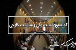 بررسی طرح نحوه واردات و تولید پهپاد با کاربری غیرنظامی در کمیسیون امنیت ملی
