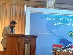 نماینده آفریقای جنوبی در نشست تهران: بریکس به دنبال ایجاد دنیای چند قطبی است