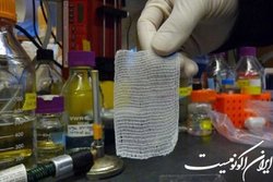تکنولوژی تولید آزمایشگاهی جنین گاومیش کامل شد