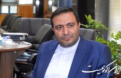 هیات تطبیق مصوبه نرخ خوراک پتروشیمی را باطل کرد
