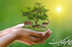 اصـول بـازپـروری حـیـات وحـش