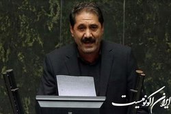 داودی: به مشکلات حرفه ای دامپزشکان توجه شود