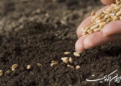 وجود ۷۳ هزار نمونه ژن گیاهی در کشور