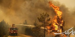 سقوط 40 درصدی ارزش سهام شرکت توزیع برق هاوایی
