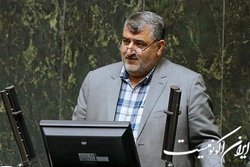 دلخوش: کشاورزان می توانند نیاز داخلی در حوزه برنج و چای را تامین کنند