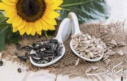تخمه شکستن؛ سرگرمی یا اعتیاد؟