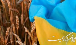 مذاکرات آمریکا-ترکیه برای جایگزین‌های توافق غلات در مرحله بحث است