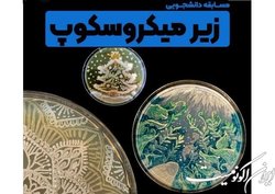 مسابقه‌ دانشجویی «زیر میکروسکوپ» برگزار می‌شود