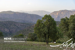 قصور برخی نهادها در تکمیل طرح پنجره واحد «مدیریت زمین»