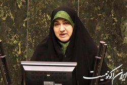 رفیعی: دولت شورای عالی محیط زیست و تغییر اقلیم تشکیل دهد