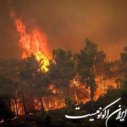 حریق جنگلی در ایتالیا و تخلیه صدها نفر از جزیره «الب»