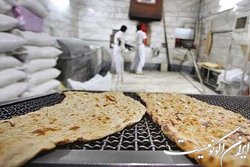 توپ کیفیت نان در زمین گندم