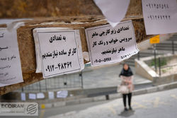 سواد نان می آورد  جیب خالی سواد نمی شناسد