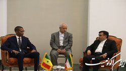 آماده انتقال دستاورهای محیط زیستی ایران به سنگال هستیم