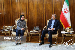 اعلام آمادگی تهران برای توسعه همکاری‌ها با «اسکاپ» برای مقابله با حوادث ناگوار طبیعی