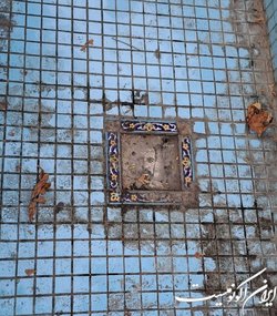 عکس‌های مخدوش شده سینمایی‌ها در حوض