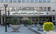 تحقق کامل درآمدها با فشار بر فراریان مالیاتی تحقق کامل درآمدها با فشار بر فراریان مالیاتی