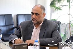 هیچ ذرت آلوده‌ای در استان همدان وجود ندارد