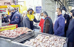 بازار خودمختار مرغ در سایه بی توجهی دولت