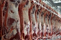 جریمه ۲۷ میلیارد ریالی یک واحد بسته بندی گوشت