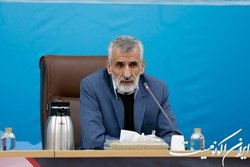 میراحمدی: چالش عبور زائران از مرزها را برطرف کردیم
