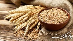 نرخ هر کیلو گندم برای خرید تضمینی ۱۹.۵۰۰ تومان تعیین شد