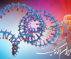 آموزش کار با پایگاه داده نوکلئوتیدی ژن‌بانک