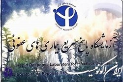 کسب درجه عالی انستیتو پاستور ایران در آزمون WHO برای تشخیص آبله میمونی
