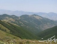 چرا «جنگل دیزمار» ثبت جهانی نشد؟