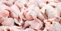 بازگشت مرغ به قیمت مصوب ستاد تنظیم بازار