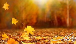 افسردگی در سایه تغییر فصل
