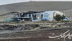 یک عضو برجسته «پ.ک.ک» در میان کشته‌شدگان