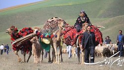 آغاز کوچ پاییزه عشایر استان تهران از نیمه دوم شهریور