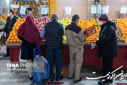 کاهش قیمت برخی میوه‌ها در میادین و بازارهای میوه و تره بار پایتخت