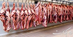 ۴۰ هزار تن به ظرفیت تولید گوشت کشور اضافه می‌شود