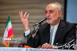 مدیر فرهنگستان باید سعه صدر داشته باشد و آرای مختلف را بشنود