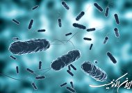 افزایش شمار مبتلایان به وبا در جهان