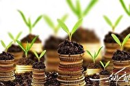 سال آینده 537هزار کشاورز درطرح جهش تولید در دیمزارها مشارکت دارند