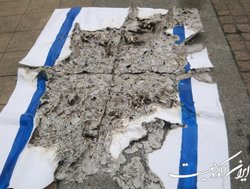 نفتالی بنت: اسرائیل وارد چرخه دودستگی شده است