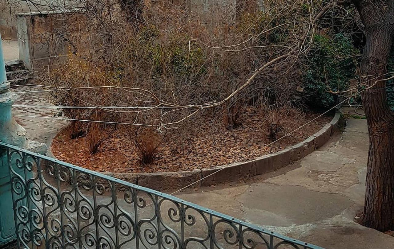 مدرسه ناموس، اولین مدارس دخترانه تهران