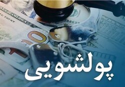 ورود شورای عالی مبارزه با پولشویی به احتکار اطلاعات خانه‌های خالی توسط شهرداریها