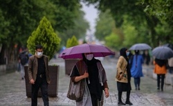 بارندگی در برخی مناطق کشور  وزش باد در تهران