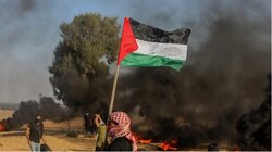 مقاومت غزه، ‌تداوم استعمارستیزی فلسطینیان
